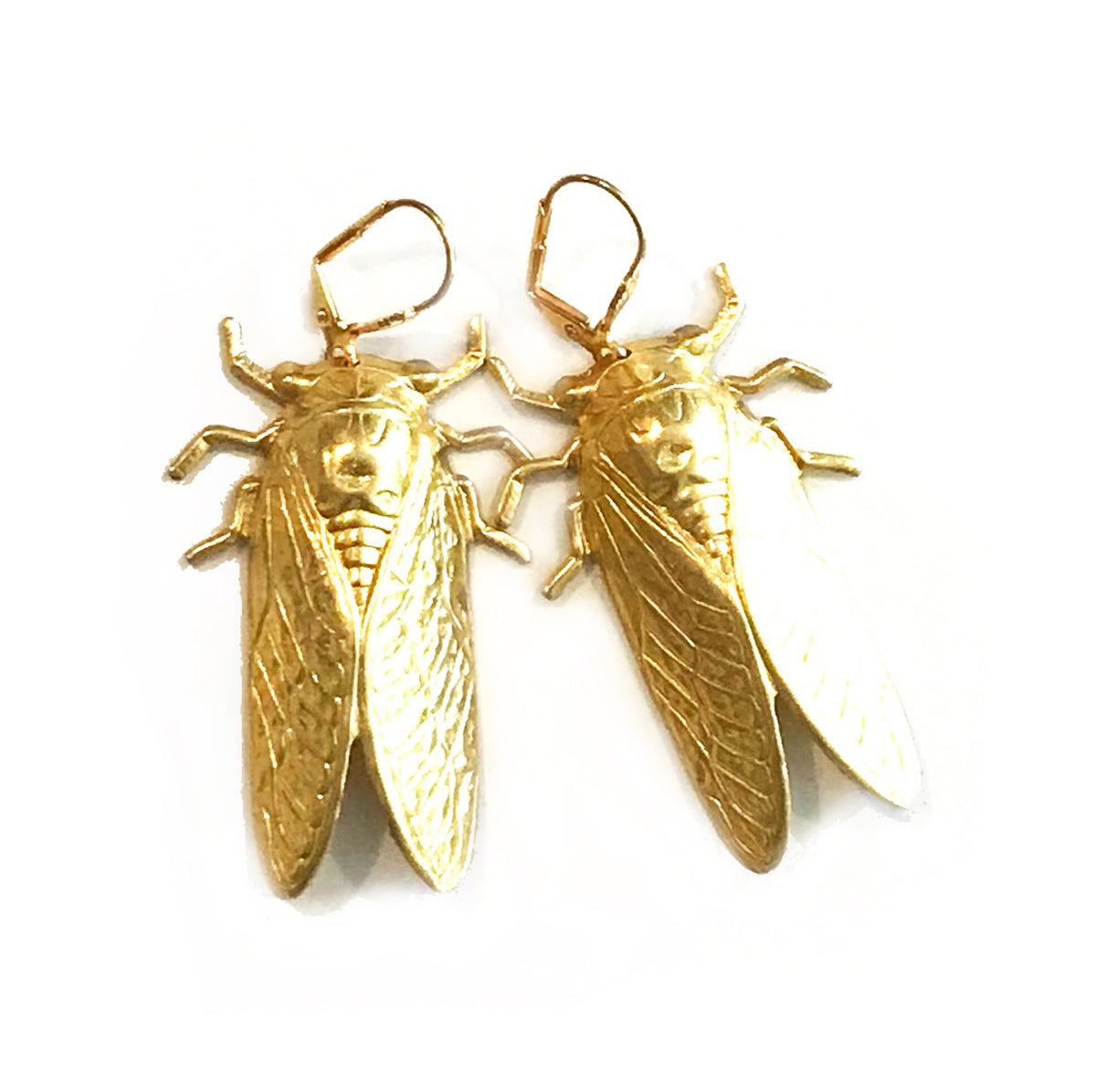 Cicada bug earrings