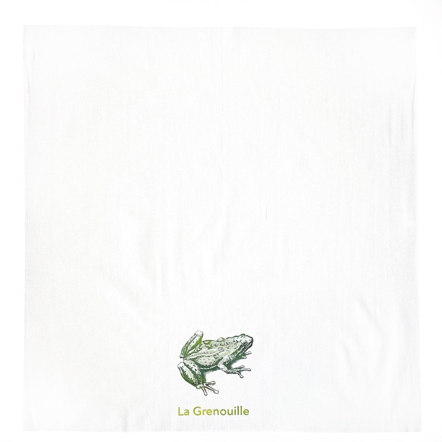 The Frog dish towel, NEW Print!