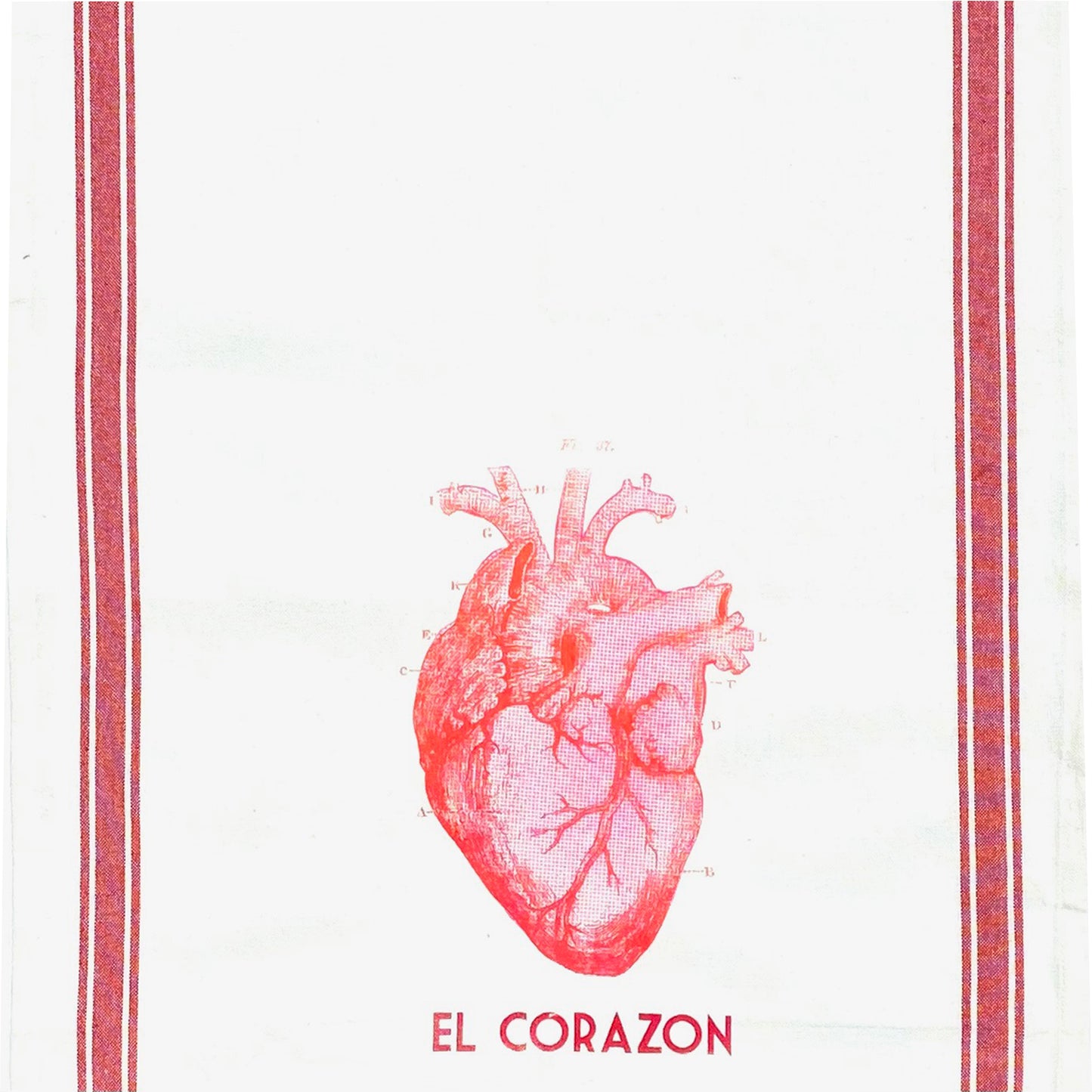 Anatomic Heart El Corazon Towel