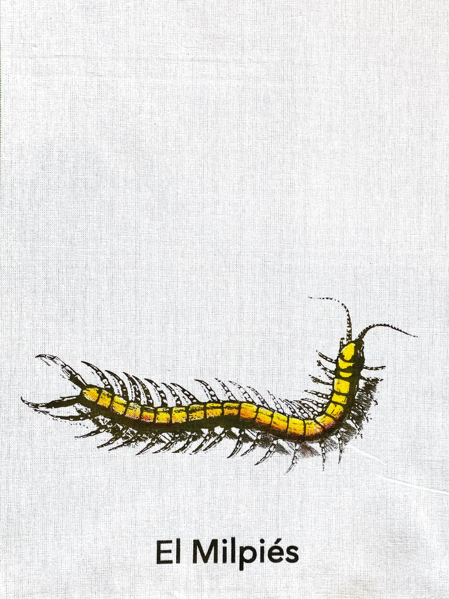 Centipede Towel in French or Spanish