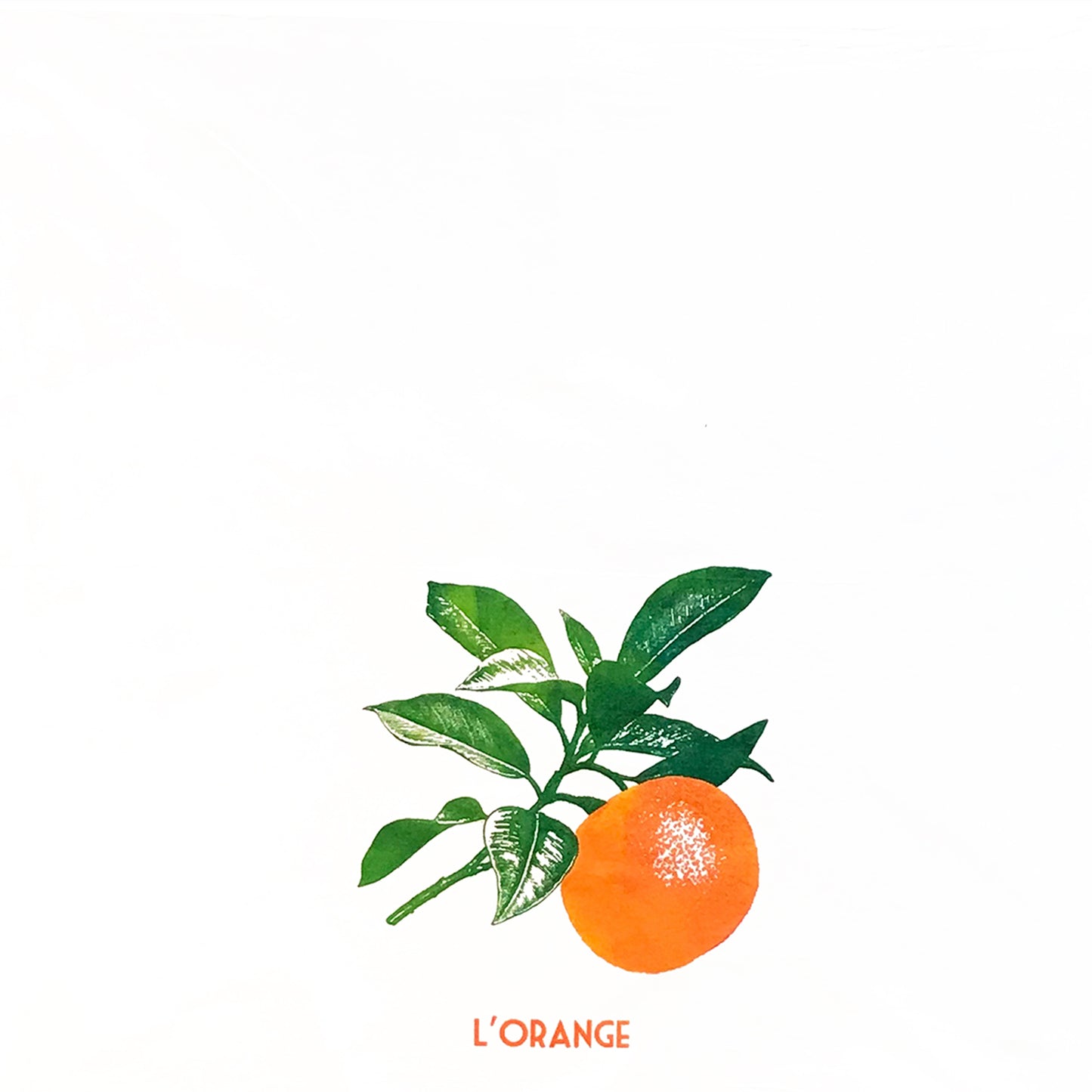 Orange Fruit Kitchen Towel