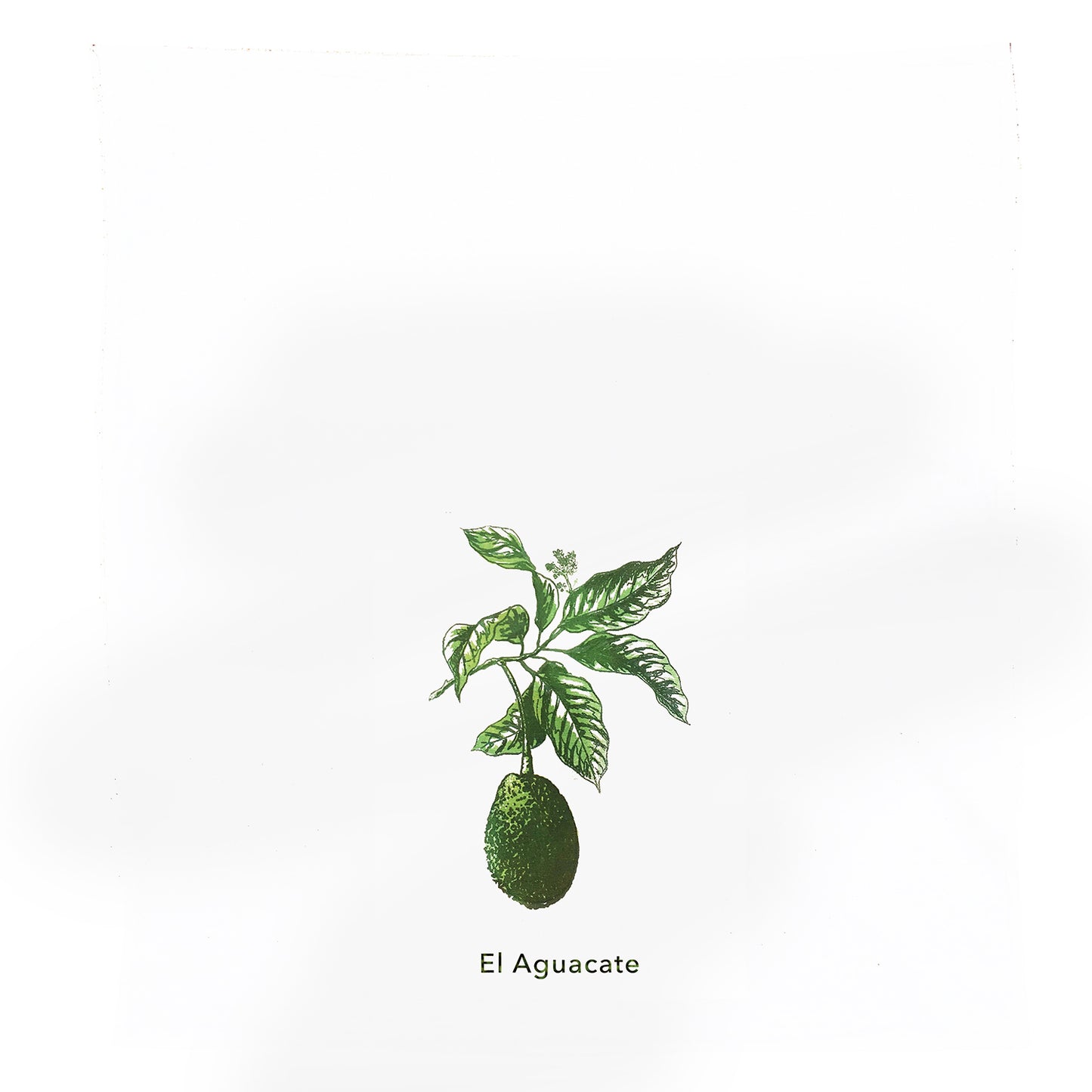 Avocado Kitchen Towel