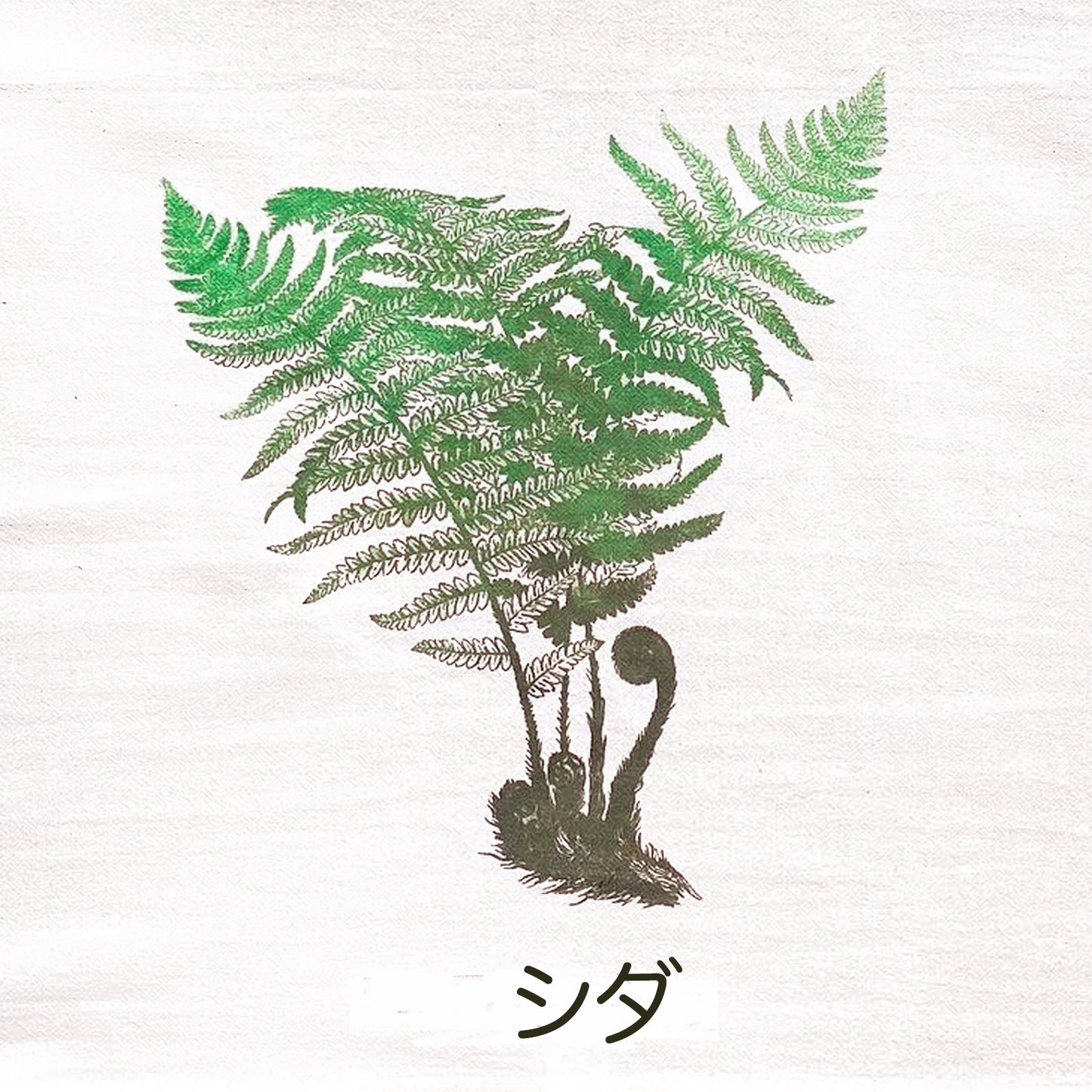 La Fougère Towel - Fern