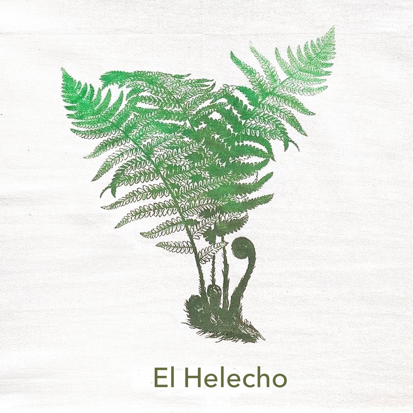 La Fougère Towel - Fern