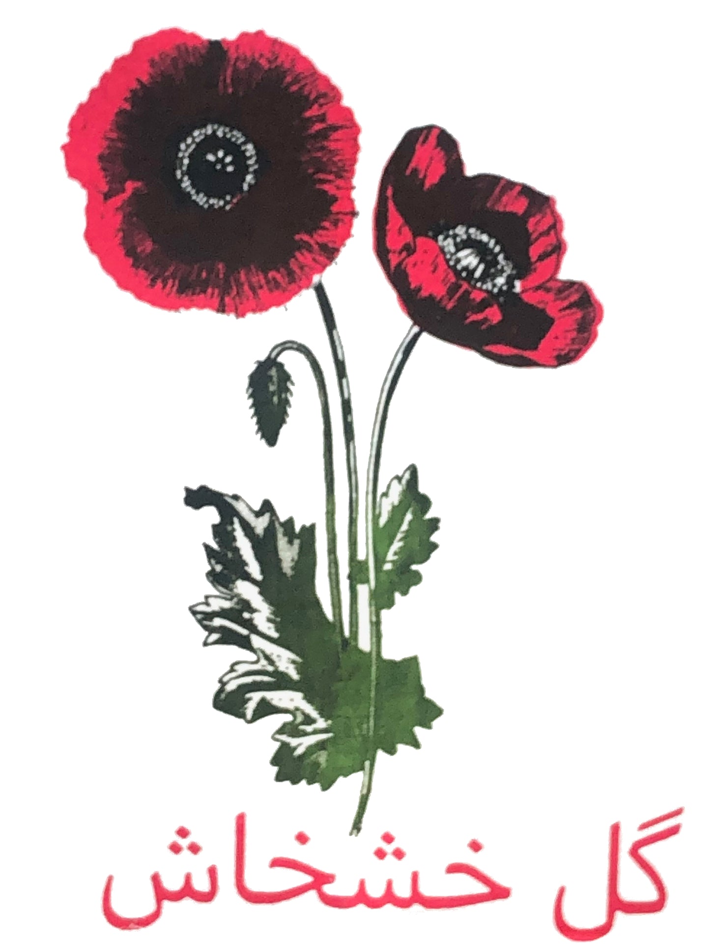 Red Poppy Kitchen Towel