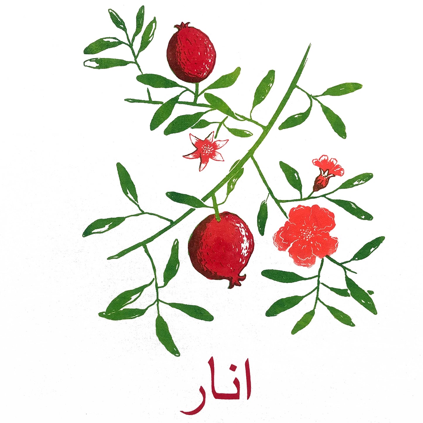 The Pomegranate Towel