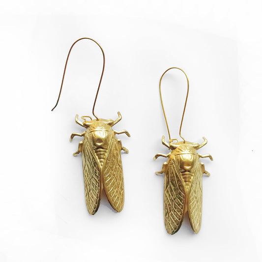 Cicada bug earrings