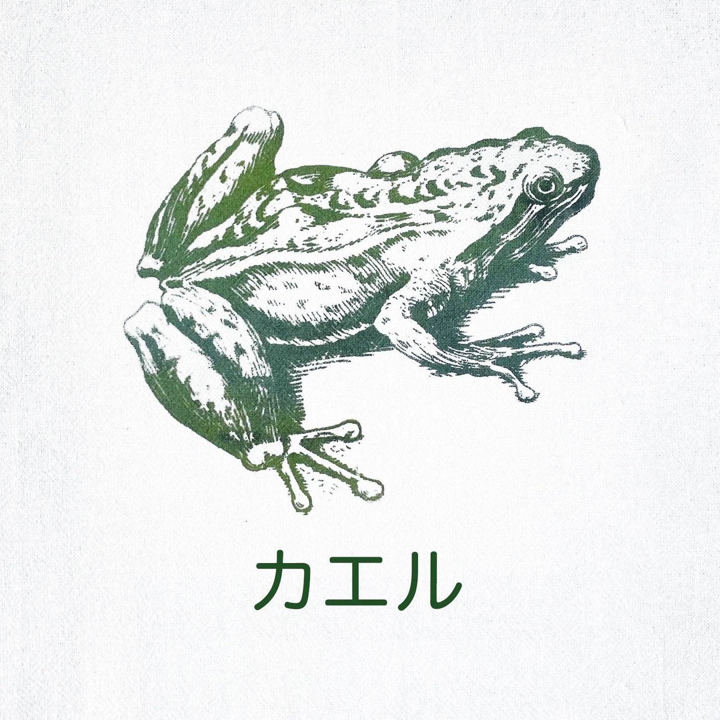 The Frog dish towel, NEW Print!