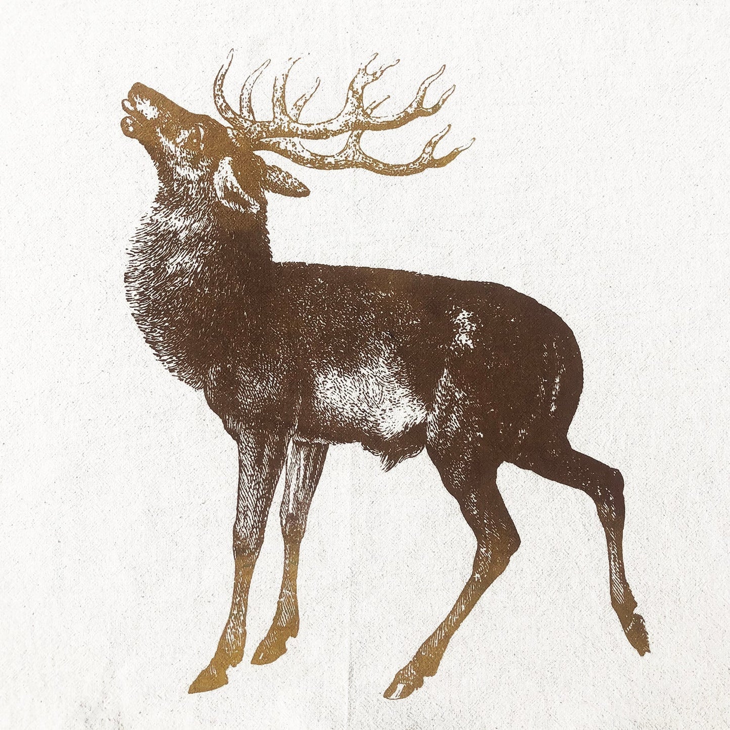 Deer Bust or Full Cotton Towel