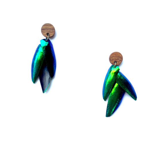 Beetle wings and wood stud earrings
