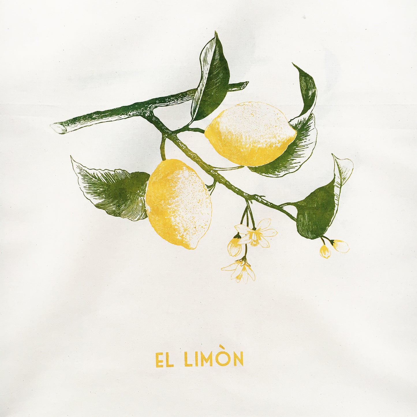 Lemon Fruit Dish Towel