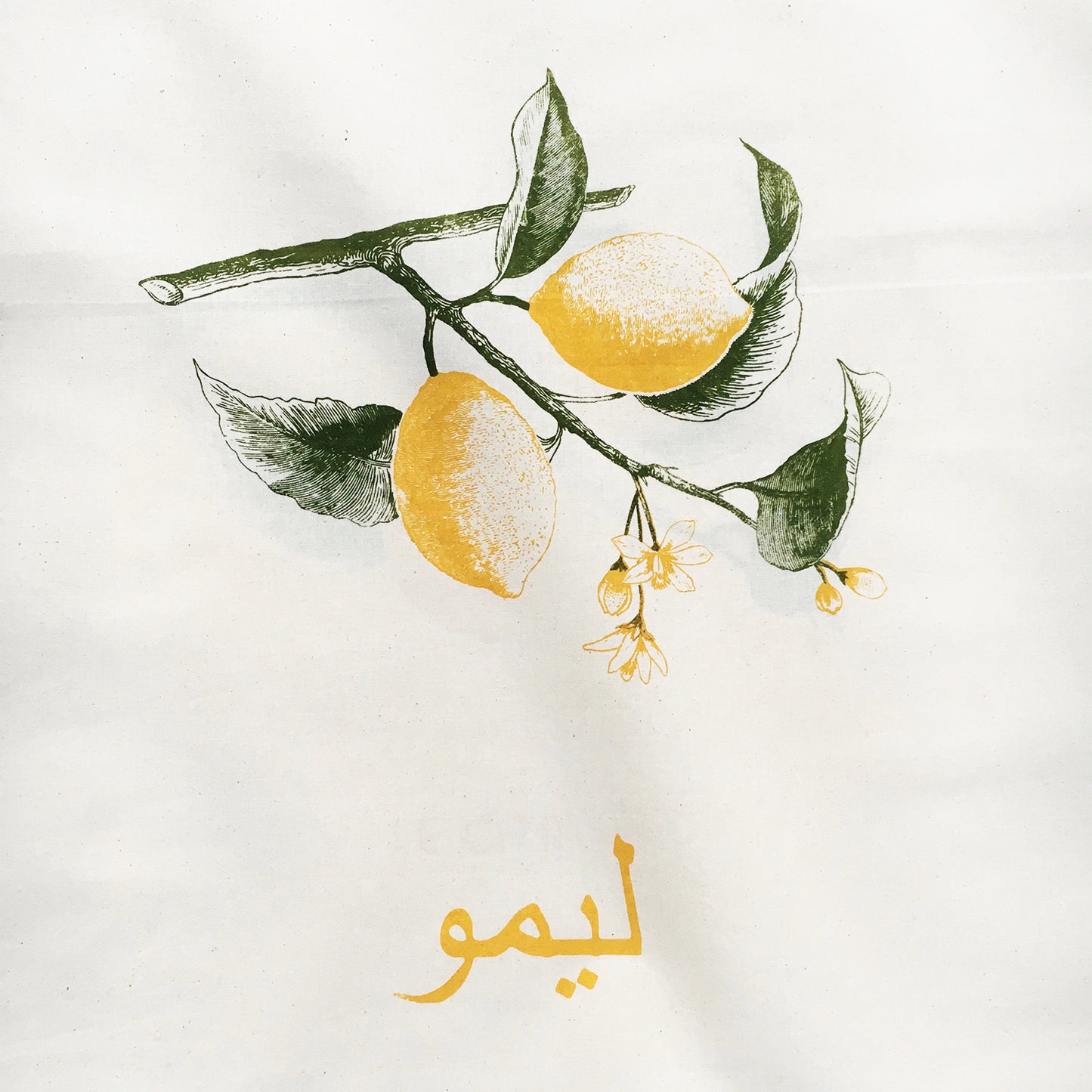 Lemon Fruit Dish Towel